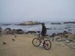 pic_07531.jpg