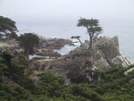 pic_07550.jpg