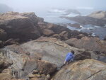 pic_07594.jpg