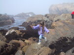 pic_07630.jpg