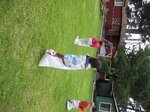 pic_07771.jpg
