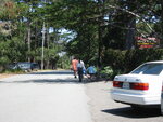 pic_07805.jpg