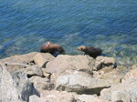 pic_07832.jpg