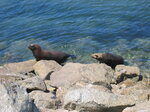 pic_07835.jpg