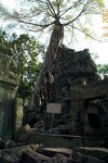 pic_07859.jpg