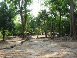 pic_07865.jpg