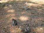 pic_07867.jpg