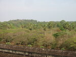 pic_07887.jpg