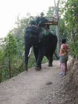 pic_07934.jpg