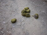 pic_07950.jpg