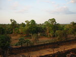 pic_07962.jpg
