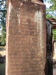 pic_07977.jpg