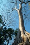 pic_07983.jpg