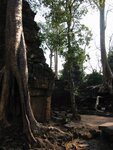 pic_07987.jpg