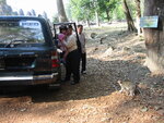 pic_08016.jpg