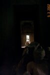 pic_08025.jpg