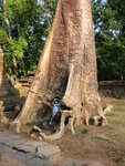 pic_08026.jpg