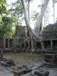 pic_08031.jpg