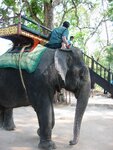 pic_08048.jpg