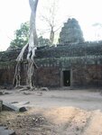 pic_08070.jpg