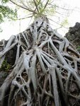 pic_08076.jpg
