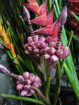 pic_08149.jpg