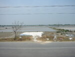 pic_08178.jpg