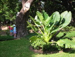 pic_08206.jpg