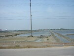 pic_08214.jpg