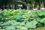 pic_08238.jpg