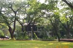 pic_08251.jpg