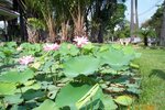 pic_08252.jpg