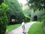 pic_08260.jpg