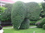 pic_08261.jpg