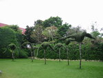 pic_08264.jpg