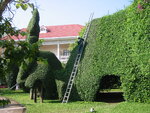 pic_08267.jpg