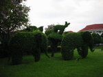 pic_08268.jpg
