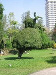 pic_08269.jpg