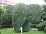 pic_08275.jpg