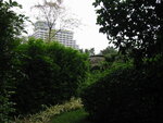 pic_08285.jpg