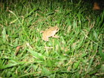 pic_08286.jpg