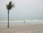 pic_08287.jpg