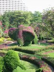 pic_08291.jpg