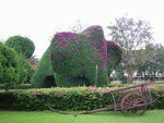 pic_08292.jpg