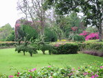 pic_08294.jpg