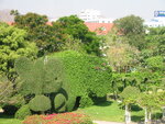 pic_08297.jpg