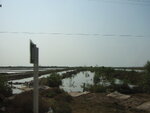 pic_08307.jpg