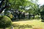 pic_08352.jpg
