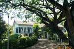 pic_08363.jpg