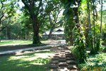 pic_08370.jpg